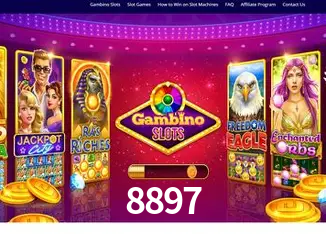 8897 Rio de Janeiro - Bonus Terms