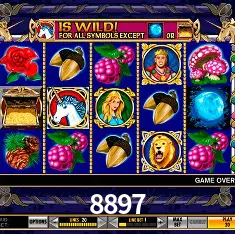 8897 São Paulo - Live Tables